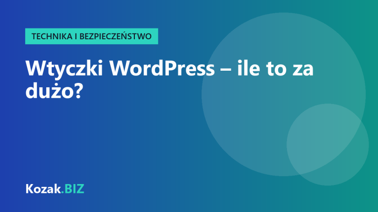 Wtyczki WordPress – ile to za dużo i jak wybierać te, które nie zaszkodzą stronie